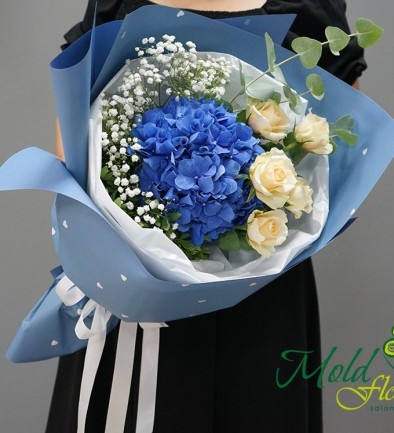 Buchet cu hortensie albastra, trandafiri crem si gypsophila foto 394x433